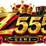 z555
