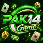 PAK 14 Game A sleek, modern minimalist brand logo featuring clean geometric typography and balanced negative space against a neutral background.